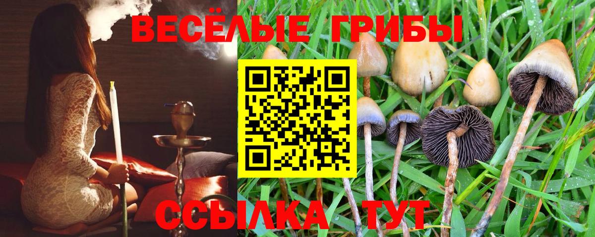 Псилоцибиновые грибы Psilocybe  Галлюциногенные грибы мухоморы  Вход с VPN  Прокопьевск 